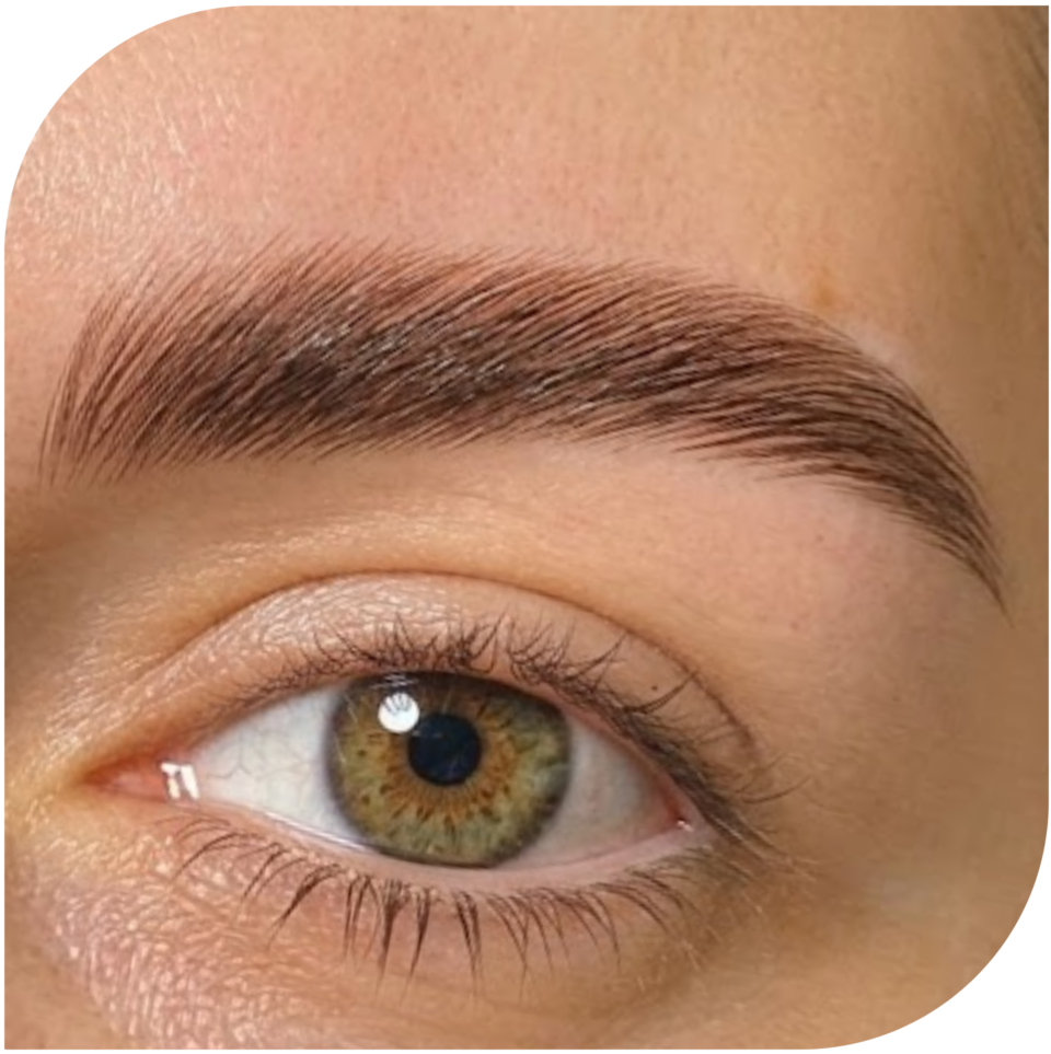 Brow Lamination - Con tintura
