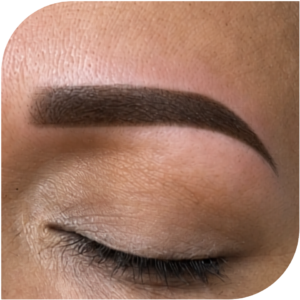 Shading / Sombreado
