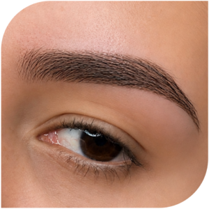 Perfilado de Cejas + Pigmentación