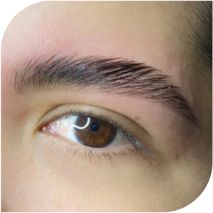 Brow Lamination - Sin tintura