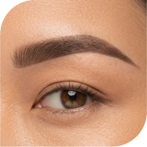 Degradé / Powder Brows