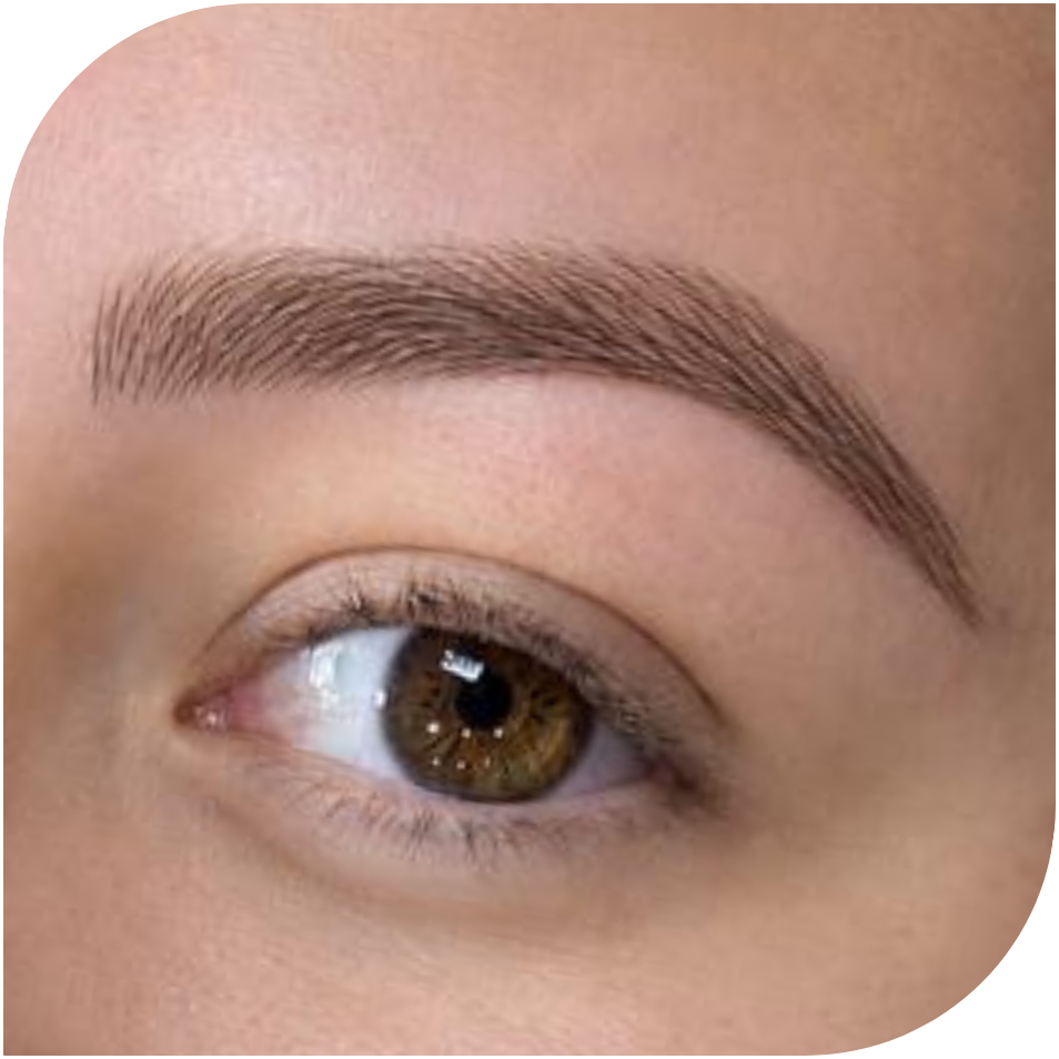 Microblading / Nanoblading - Retoque